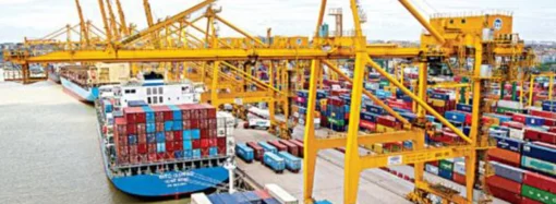 ‘চায়না দুয়ারি’ জাল নিষিদ্ধের দাবিতে রাজশাহীতে জেলেদের মানববন্ধন: দেশীয় মাছ বিলুপ্তির শঙ্কা