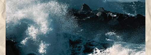 Birthday celebration turns deadly after a devastating mass shooting.