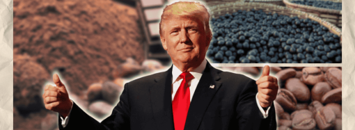 Bear A’ttacks School Group in Canada, 11 Inj’ured