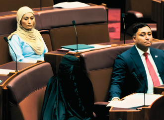 Far-Right Australian Senator Pauline Hanson Condemned for Wearing Burqa in Parliament as Anti-Ban Protest.