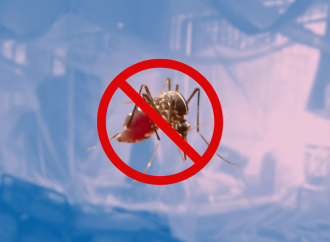 ডেঙ্গুতে আরও ৭ জনের মৃত্যু—হাসপাতালে ভর্তি ৫৬৭ জন