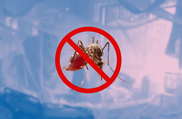 ডেঙ্গুতে আরও ৭ জনের মৃত্যু—হাসপাতালে ভর্তি ৫৬৭ জন