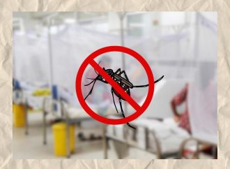 দেশের ডেঙ্গু পরিস্থিতি আবারও উদ্বেগজনক