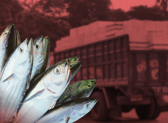 এনবিআরের অনলাইন সনদ বাধ্যতামূলক করলেও এখনো প্রস্তুত নয় মৎস্য বিভাগ , প্রতিদিন আটকে যাচ্ছে দেড় কোটি টাকার বাণিজ্য