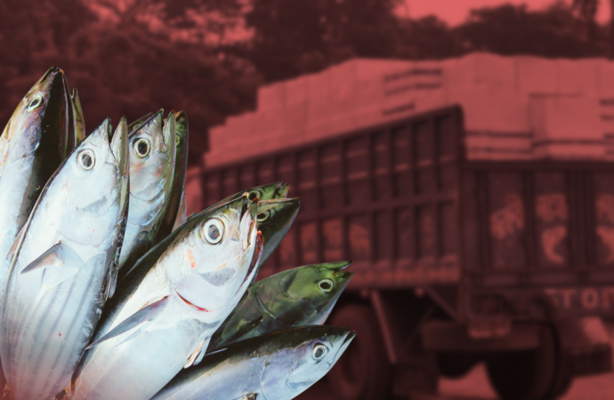 এনবিআরের অনলাইন সনদ বাধ্যতামূলক করলেও এখনো প্রস্তুত নয় মৎস্য বিভাগ , প্রতিদিন আটকে যাচ্ছে দেড় কোটি টাকার বাণিজ্য