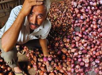 মন্দার মুখে ভারতীয় পেঁয়াজ ব্যবসায়ীরা