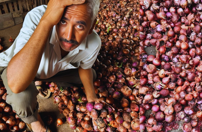 মন্দার মুখে ভারতীয় পেঁয়াজ ব্যবসায়ীরা