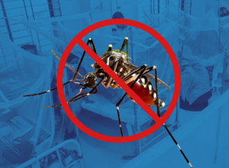 ২০২৫ সালে মোট আক্রান্ত ছাড়াল ৯০ হাজার, নভেম্বরের শেষেও থামছে না ডেঙ্গুর দাপট