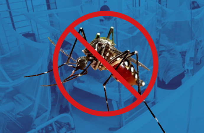 ২০২৫ সালে মোট আক্রান্ত ছাড়াল ৯০ হাজার, নভেম্বরের শেষেও থামছে না ডেঙ্গুর দাপট