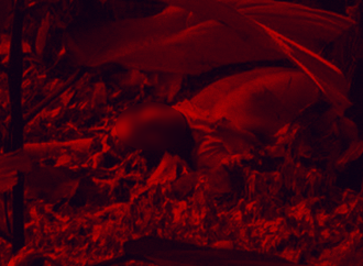 ক্লাস থেকে বের হওয়ার পর চিরবিদায়