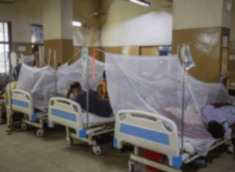 নতুন ঘরের আনন্দে পিঠা উৎসবে কীটনাশককে কালোজিরা ভেবে মিশিয়ে ফেলেন বৃদ্ধা