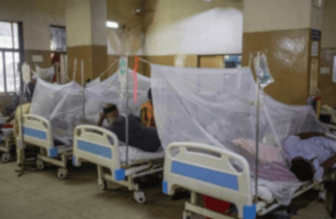 নতুন ঘরের আনন্দে পিঠা উৎসবে কীটনাশককে কালোজিরা ভেবে মিশিয়ে ফেলেন বৃদ্ধা