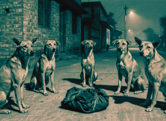 কুকুরেরা দেখালো মনুষ্যত্ব