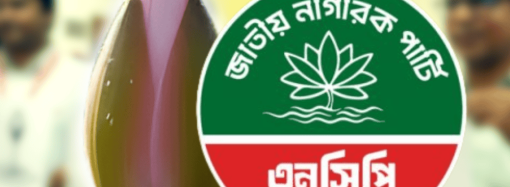 ঢাকা দক্ষিণ সিটির মেয়র পদে লড়বেন আসিফ মাহমুদ: নতুন নেতৃত্বের পদধ্বনি