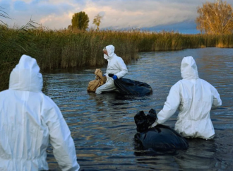 ইসরায়েলে বার্ড ফ্লু’র প্রাদুর্ভাব