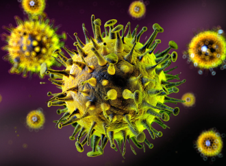 ইথিওপিয়ায় মারবার্গ ভাইরাসের হানা: বিশ্ব স্বাস্থ্য সংস্থার গভীর উদ্বেগ ও সতর্কতা