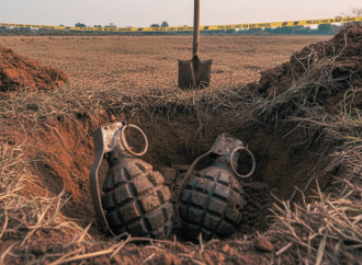 মাটির নিচে মিলল যুদ্ধের স্মারক: ঝিনাইদহে দুটি অবিস্ফোরিত গ্রেনেড উদ্ধার