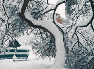 যুক্তরাষ্ট্রে ভয়াবহ তুষারপাত: ৫৭০০ এর বেশি ফ্লাইট বাতিল, চরম ভোগান্তিতে যাত্রীরা