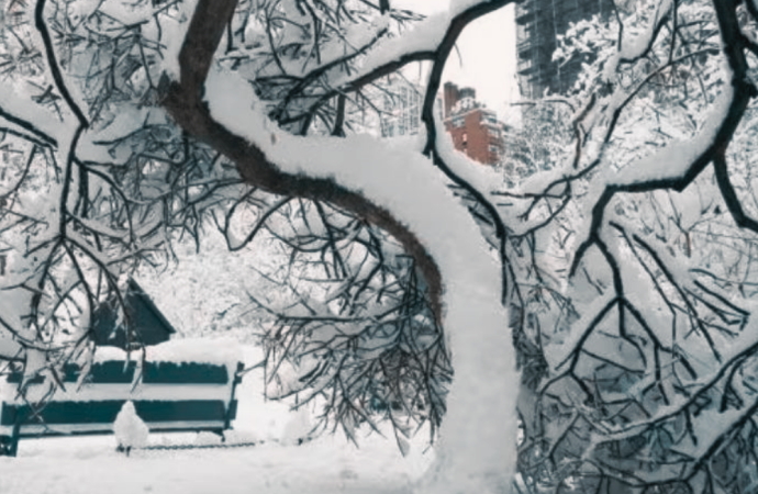 যুক্তরাষ্ট্রে ভয়াবহ তুষারপাত: ৫৭০০ এর বেশি ফ্লাইট বাতিল, চরম ভোগান্তিতে যাত্রীরা