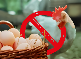 বাংলাদেশসহ ৪০ দেশ থেকে পোলট্রি ও ডিম আমদানি নিষিদ্ধ করল সৌদি আরব: রপ্তানি খাতে বড় অস্থিরতা