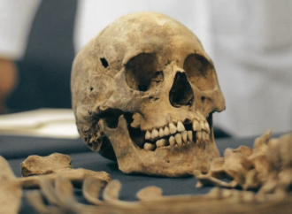 রাজধানীতে ৪৭টি মাথার খুলি ও কঙ্কাল উদ্ধার; চোর চক্রের ৪ সদস্য গ্রেপ্তার