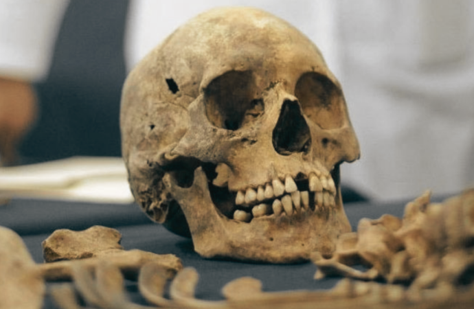 রাজধানীতে ৪৭টি মাথার খুলি ও কঙ্কাল উদ্ধার; চোর চক্রের ৪ সদস্য গ্রেপ্তার