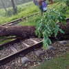 নোয়াখালীতে কালবৈশাখী ঝড়ে রেললাইনের ওপর গাছ উপড়ে পড়ায় ঢাকার সঙ্গে রেল যোগাযোগ সাময়িকভাবে বন্ধ হয়ে গেছে; মাইজদী কোর্ট স্টেশনে আটকা পড়েছে আন্তঃনগর ‘উপকূল এক্সপ্রেস’