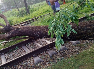 নোয়াখালীতে কালবৈশাখী ঝড়ে রেললাইনের ওপর গাছ উপড়ে পড়ায় ঢাকার সঙ্গে রেল যোগাযোগ সাময়িকভাবে বন্ধ হয়ে গেছে; মাইজদী কোর্ট স্টেশনে আটকা পড়েছে আন্তঃনগর ‘উপকূল এক্সপ্রেস’