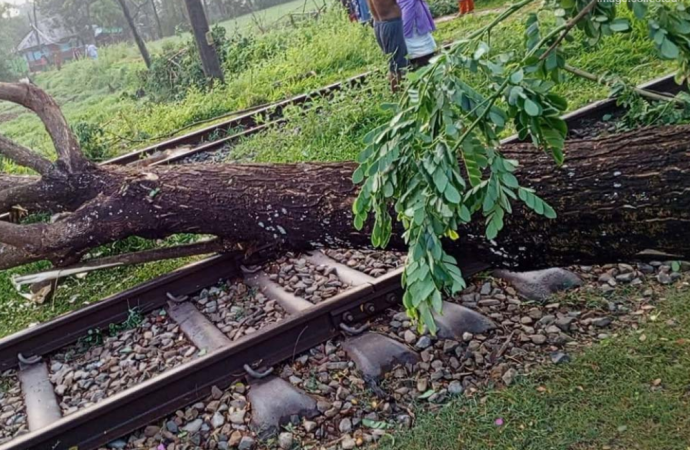 নোয়াখালীতে কালবৈশাখী ঝড়ে রেললাইনের ওপর গাছ উপড়ে পড়ায় ঢাকার সঙ্গে রেল যোগাযোগ সাময়িকভাবে বন্ধ হয়ে গেছে; মাইজদী কোর্ট স্টেশনে আটকা পড়েছে আন্তঃনগর ‘উপকূল এক্সপ্রেস’