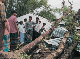 জামালপুরের মেলান্দহ উপজেলায় বৈশাখী ঝড়ের তাণ্ডবে গাছ চাপা পড়ে মা ও দুই মেয়ের মর্মান্তিক মৃত্যু হয়েছে।
