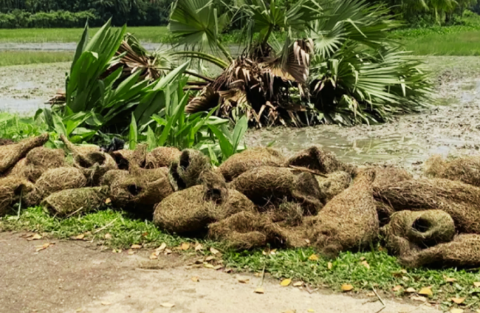 চট্টগ্রামের বোয়ালখালীতে ফসলের ক্ষতির অজুহাতে তালগাছে থাকা বাবুই পাখির বাসা ভেঙে অর্ধশতাধিক ছানা হত্যার দায়ে অভিযুক্ত বাচা মিয়াকে ৭ দিনের কারাদণ্ড ও ২০ হাজার টাকা জরিমানা করেছে ভ্রাম্যমাণ আদালত।