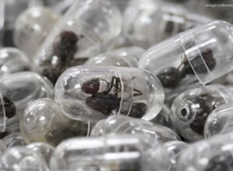 কেনিয়ার একটি বিমানবন্দর থেকে ২,২০০টি জীবন্ত পিঁপড়া পাচারের চেষ্টার অভিযোগে এক চীনা নাগরিককে গ্রেফতারের পর জেল ও জরিমানা করেছে দেশটির একটি আদালত।