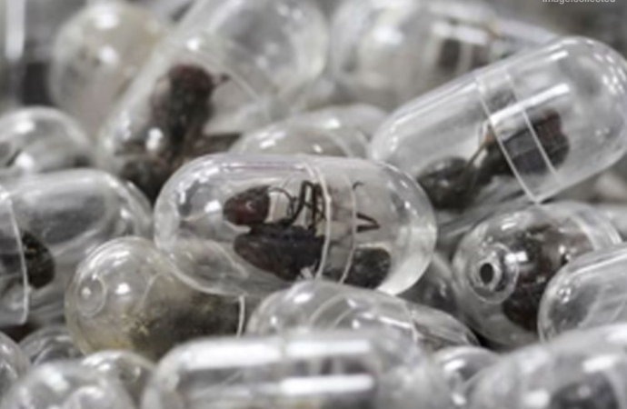 কেনিয়ার একটি বিমানবন্দর থেকে ২,২০০টি জীবন্ত পিঁপড়া পাচারের চেষ্টার অভিযোগে এক চীনা নাগরিককে গ্রেফতারের পর জেল ও জরিমানা করেছে দেশটির একটি আদালত।