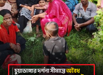 চুয়াডাঙ্গা সীমান্তে অবৈধ অনুপ্রবেশের সময় আটক ১০