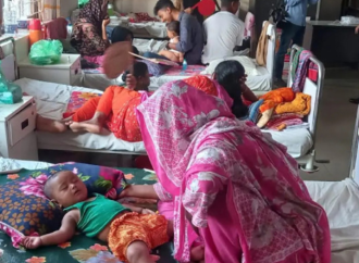 সারাদেশে হামের প্রাদুর্ভাব ভয়াবহ আকার ধারণ করেছে। গত ২৪ ঘণ্টায় হাম ও এর উপসর্গ নিয়ে আরও ১৭ শিশুর মৃত্যু হয়েছে এবং নতুন করে হাসপাতালে ভর্তি হয়েছে ১ হাজার ৪৫৬ জন।