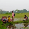 বিজিবির বাধার মুখে ব্যর্থ বিএসএফ: পঞ্চগড় সীমান্তে ১০ জনকে বাংলাদেশে পুশইনের চেষ্টা, পরিস্থিতি নিয়ন্ত্রণে পতাকা বৈঠক