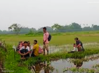 বিজিবির বাধার মুখে ব্যর্থ বিএসএফ: পঞ্চগড় সীমান্তে ১০ জনকে বাংলাদেশে পুশইনের চেষ্টা, পরিস্থিতি নিয়ন্ত্রণে পতাকা বৈঠক