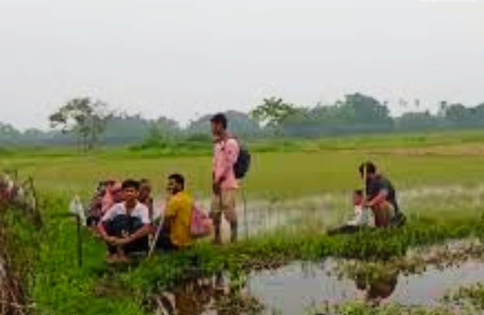 বিজিবির বাধার মুখে ব্যর্থ বিএসএফ: পঞ্চগড় সীমান্তে ১০ জনকে বাংলাদেশে পুশইনের চেষ্টা, পরিস্থিতি নিয়ন্ত্রণে পতাকা বৈঠক