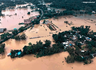 চট্টগ্রামে ৭ দিনে ৯৩ জন সাপের কামড়ের শিকার, আক্রান্তদের মাঝে রাসেলস ভাইপার ও কোবরার আতঙ্ক