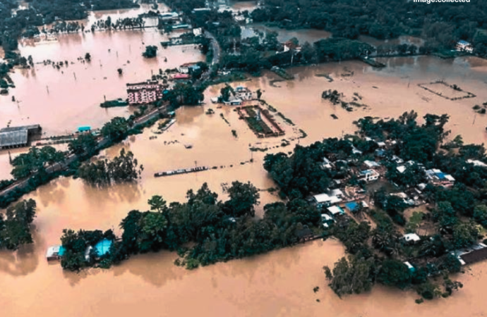 চট্টগ্রামে ৭ দিনে ৯৩ জন সাপের কামড়ের শিকার, আক্রান্তদের মাঝে রাসেলস ভাইপার ও কোবরার আতঙ্ক
