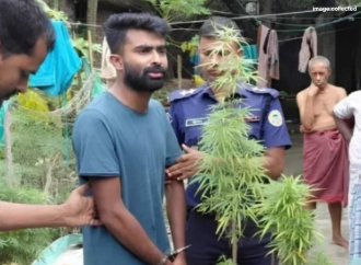 ভোলার বোরহানউদ্দিনে বাথরুমের ছাদে টবে গাঁজা চাষ: বরখাস্তকৃত পুলিশ কনস্টেবল ৩টি গাঁজা গাছসহ গ্রেপ্তার