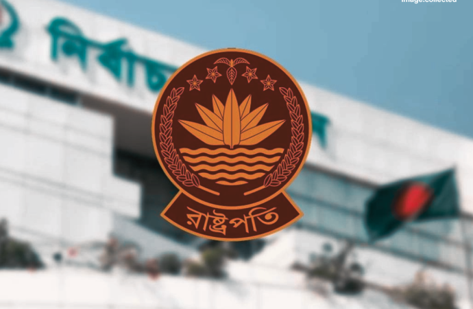 রাষ্ট্রপতি নির্বাচনে বিএনপির মনোনয়নপত্র সংগ্রহ