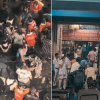 কলকাতার চোরবাগান পূজামণ্ডপে হুড়োহুড়িতে পদপিষ্টের মর্মান্তিক ঘটনা: নিহতের সংখ্যা বেড়ে ১৯, গ্রেপ্তার ৭।